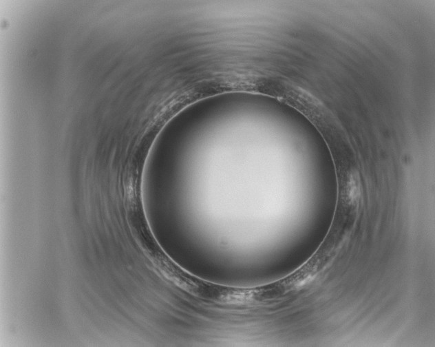 X0000060760084200511141242