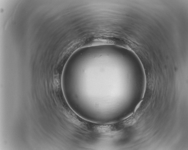 X0000060760085200511141242