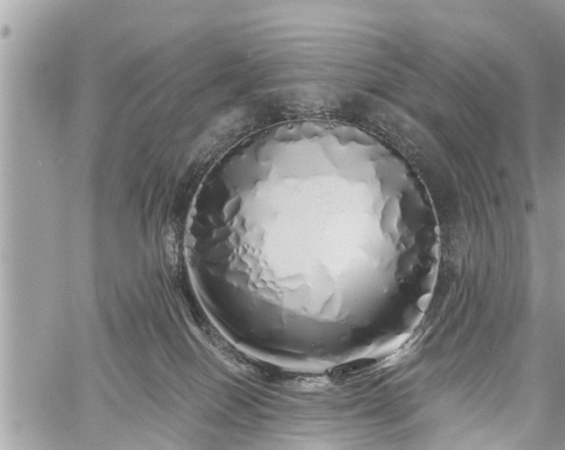 X0000060760086200511141242