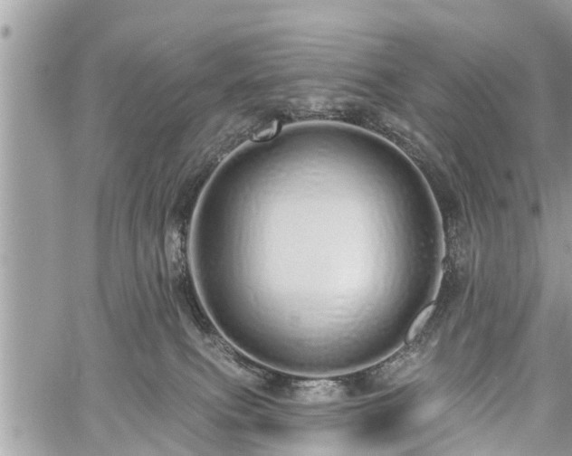 X0000060760087200511141242