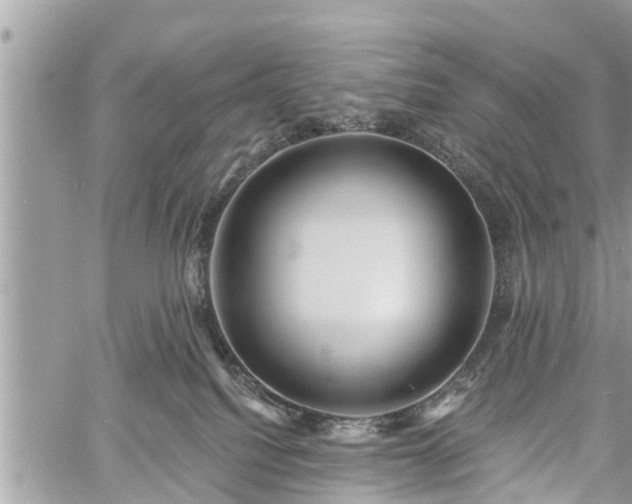 X0000060760088200511141242