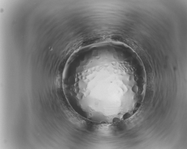 X0000060760090200511141242