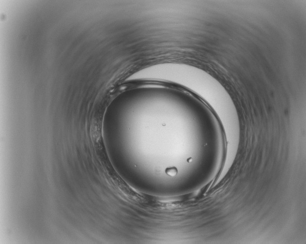 X0000060760091200511141242