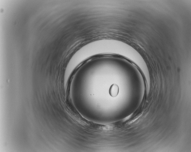 X0000060760092200511141242