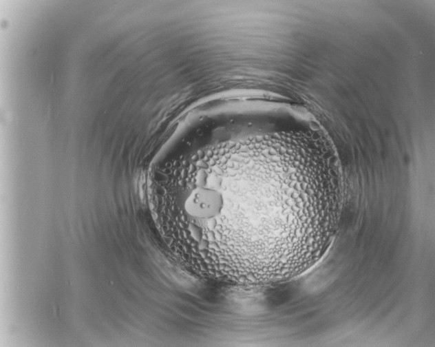 X0000060760094200511141242