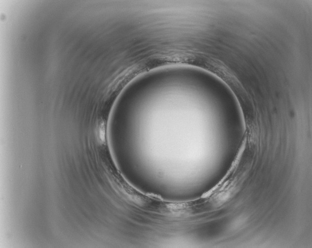 X0000060760095200511141242