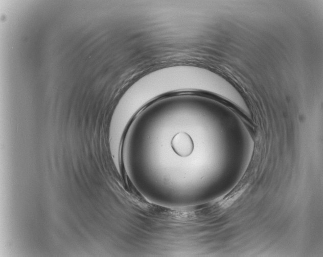 X0000060760096200511141242