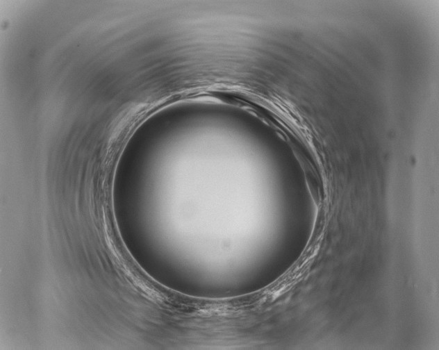 X0000060760097200511141242