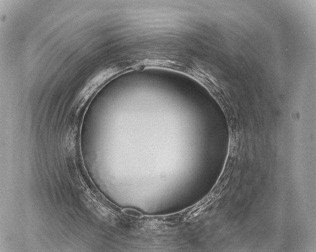 X0000060760098200511141242