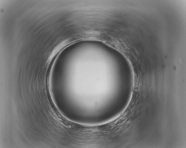 X0000060760099200511141242