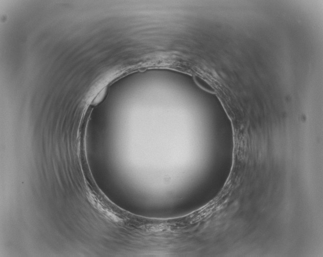 X0000060760100200511141241