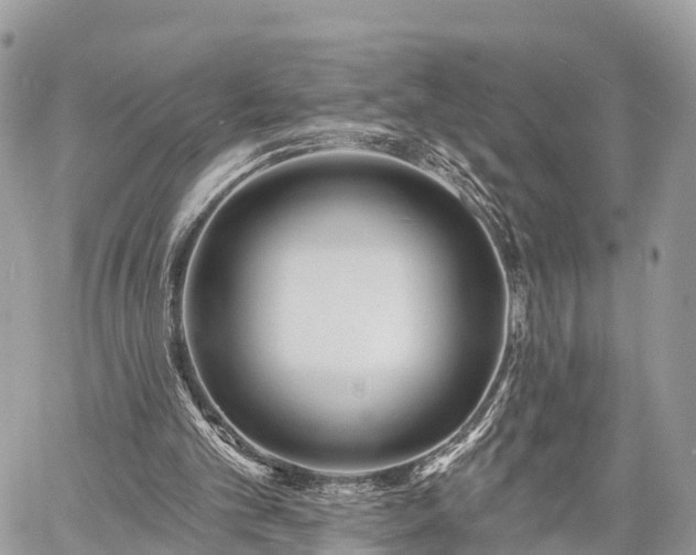 X0000060760101200511141241