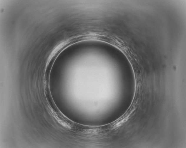 X0000060760102200511141241