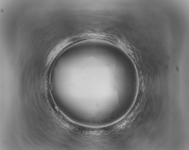 X0000060760103200511141241