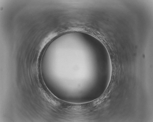 X0000060760104200511141241