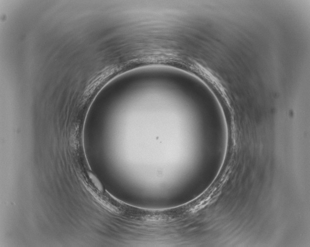 X0000060760105200511141241