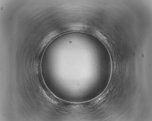 X0000060760106200511141241