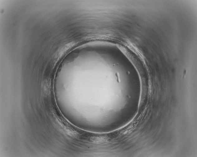 X0000060760107200511141241