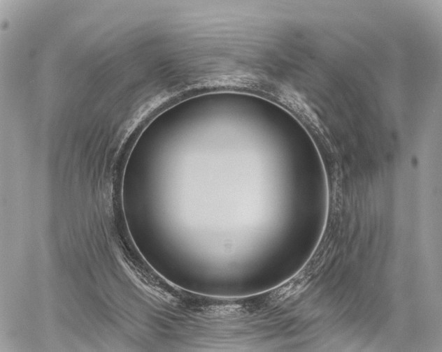 X0000060760108200511141241