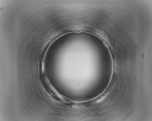 X0000060760109200511141241