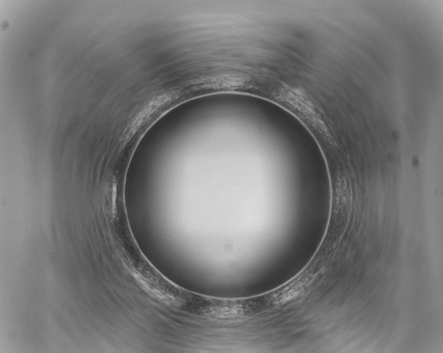 X0000060760110200511141241