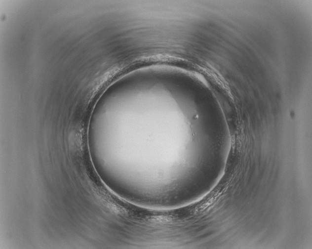 X0000060760111200511141241