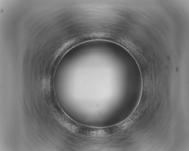 X0000060760112200511141241