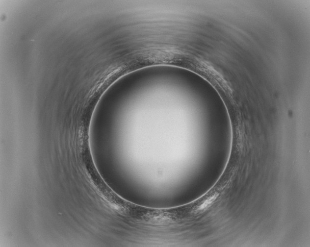 X0000060760113200511141241