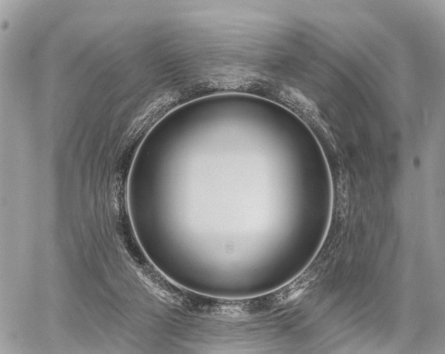 X0000060760114200511141241