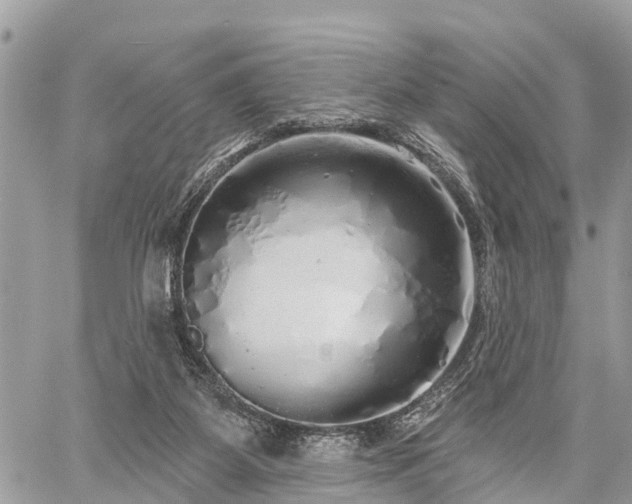 X0000060760115200511141241