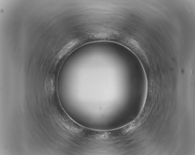 X0000060760116200511141241