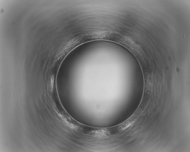 X0000060760118200511141241