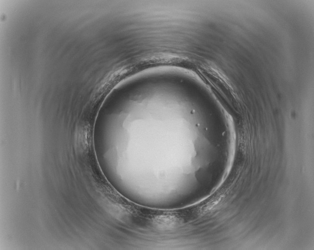 X0000060760119200511141241