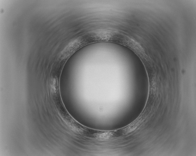 X0000060760122200511141241