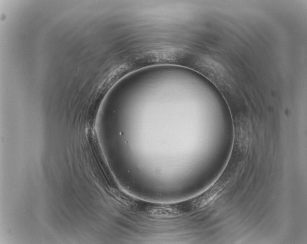 X0000060760123200511141241