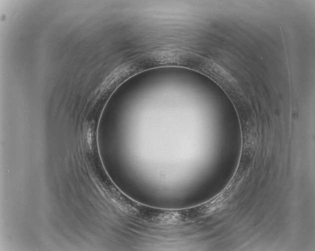 X0000060760124200511141241