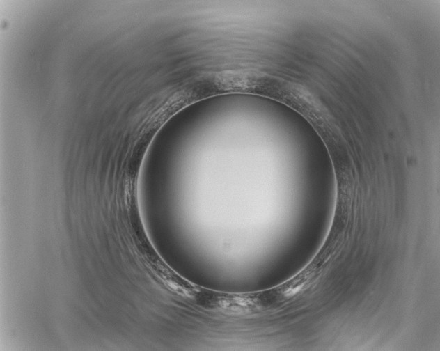 X0000060760125200511141241