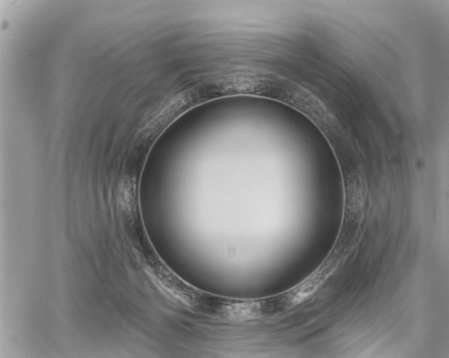 X0000060760126200511141241