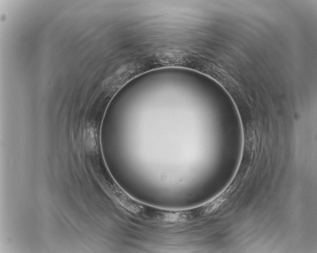 X0000060760130200511141241