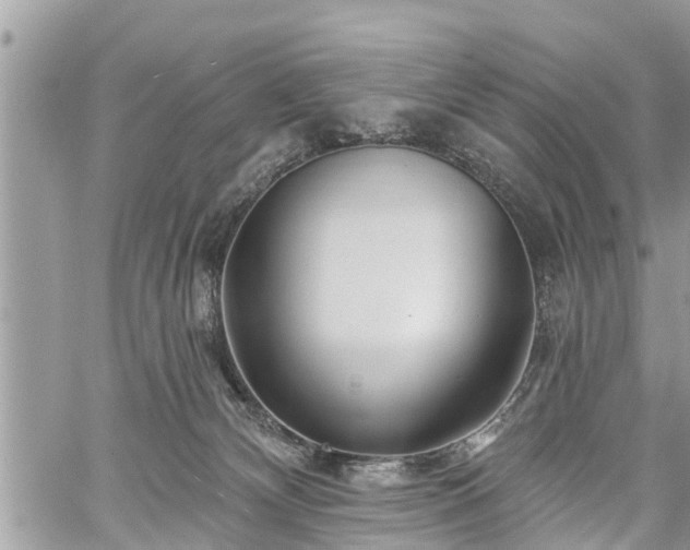 X0000060760132200511141241