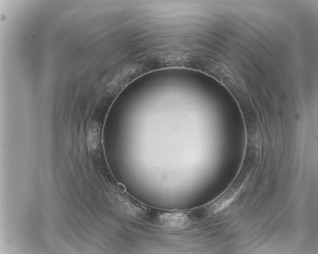 X0000060760133200511141241