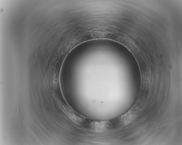 X0000060760134200511141241