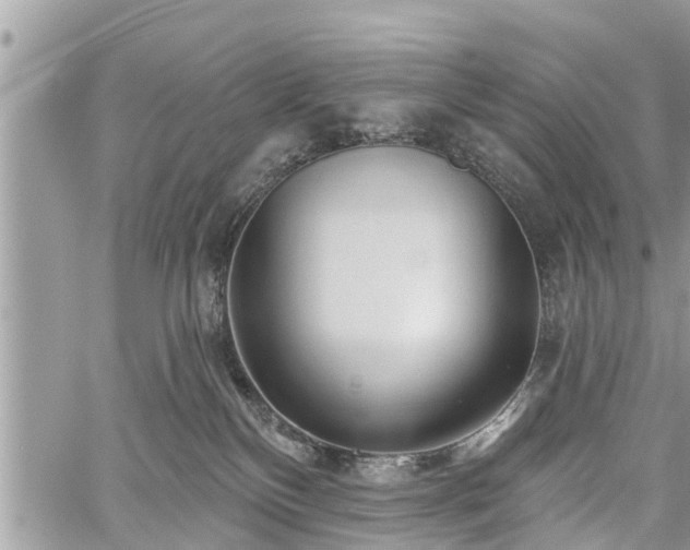 X0000060760136200511141241