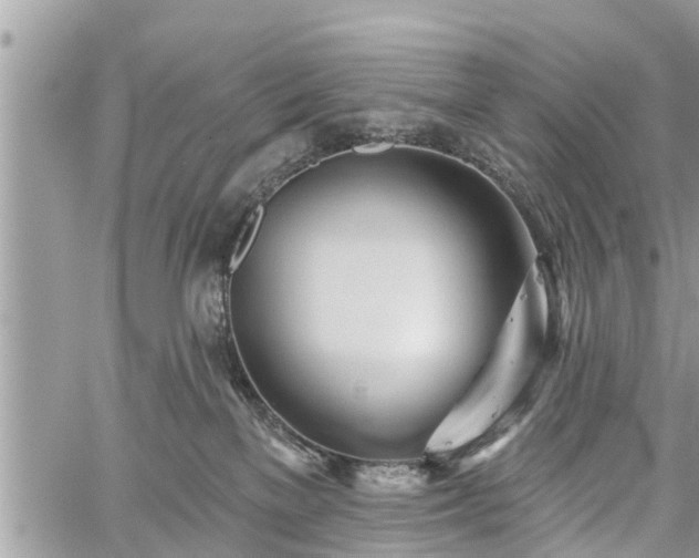 X0000060760137200511141241