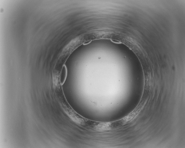 X0000060760138200511141241