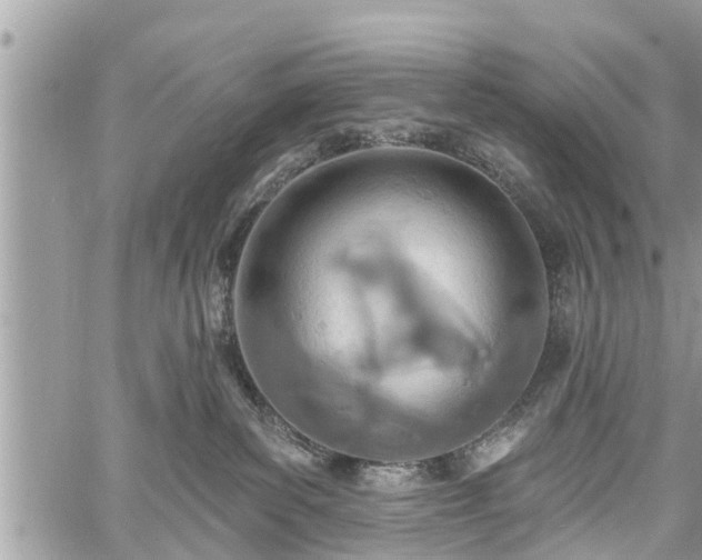 X0000060760139200511141241