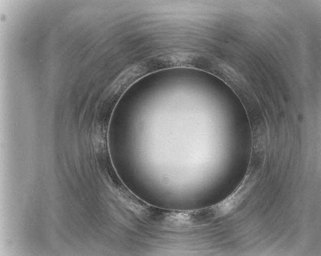 X0000060760140200511141241