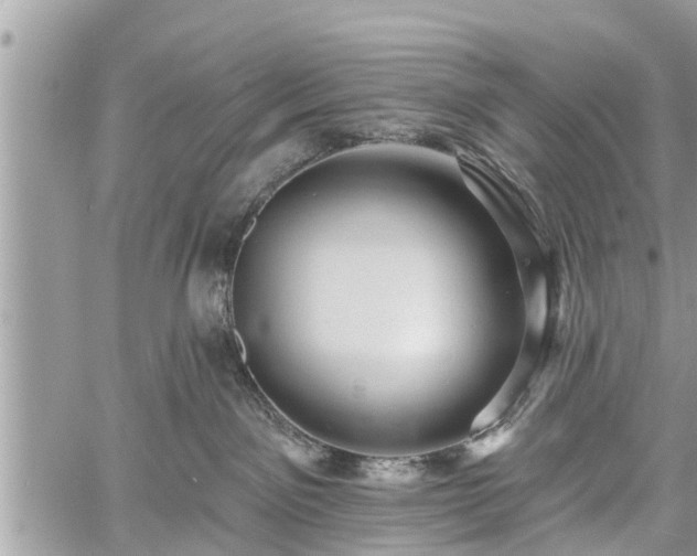 X0000060760141200511141241