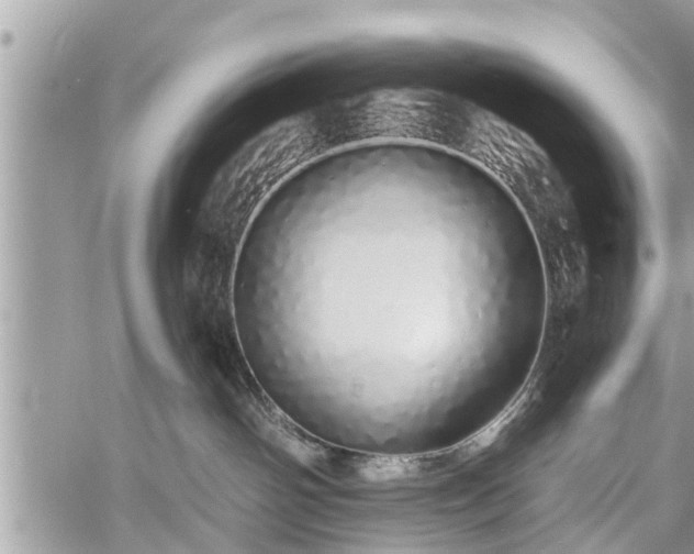 X0000060760142200511141241