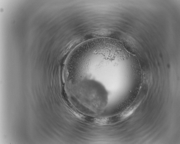 X0000060760143200511141241